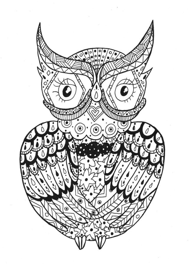 Coloriage Adulte Hibou Zentangle Rachel - Adulte à imprimer